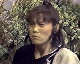 龙凤奇侠