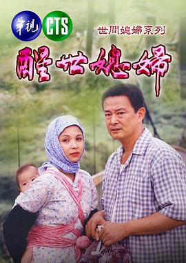 醒世媳婦